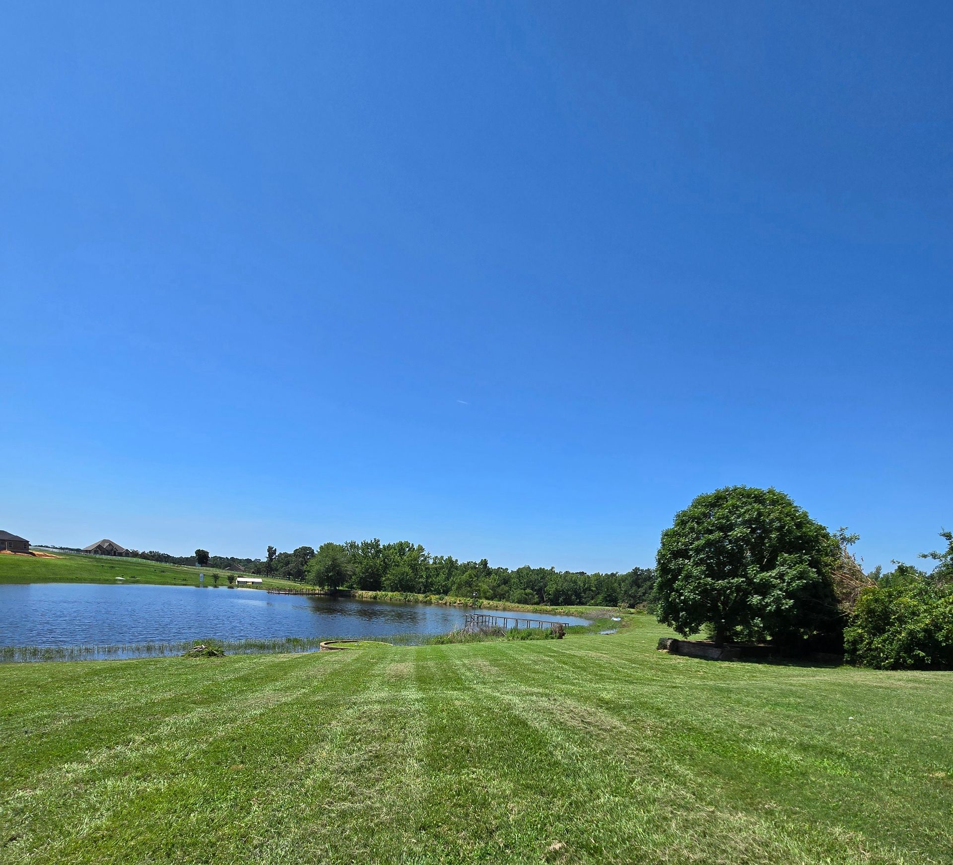 Rambo's Mowing, Ben Wheeler TX, Emory TX, Quitman TX, Mineola TX, Grand Saline TX, Edgewood TX, Terrell TX, Kaufman TX, Canton TX, Trinidad TX, Athens TX, Edom TX, Van TX, Chandler TX, Brownsboro TX, Tyler TX, Whitehouse TX, Lindale TX, Murchison TX, Myrtle Springs TX, Lawn Mowing Service Near Me, Lawn Mowing Company Near Me, Residential Mowing Company, Commercial Mowing Company, Ben Wheeler Mowing Company, Emory Mowing Company, Quitman Mowing Company, Mineola Mowing Company, Grand Saline Mowing Company, Edgewood Mowing Company, Terrell Mowing Company, Kaufman Mowing Company, Canton Mowing Company, Trinidad Mowing Company, Athens Mowing Company, Edom Mowing Company, Van Mowing Company, Chandler Mowing Company, Brownsboro Mowing Company, Tyler Mowing Company, Whitehouse Mowing Company, Lindale Mowing Company, Murchison Mowing Company, Myrtle Springs Mowing Company, Mowing, Mowing Acres, Mowing Land Lots, Weed Eating, Weed Eating Company Near Me, Fall Clean Up, Fall Clean Up Service Near Me, Yard Clean Up, Yard Clean Up Service Near Me, Ben Wheeler Yard Clean Up, Emory Yard Clean Up, Quitman Yard Clean Up, Mineola Yard Clean Up, Grand Saline Yard Clean Up, Edgewood Yard Clean Up, Terrell Yard Clean Up, Kaufman Yard Clean Up, Canton Yard Clean Up, Trinidad Yard Clean Up, Athens Yard Clean Up, Edom Yard Clean Up, Van Yard Clean Up, Chandler Yard Clean Up, Brownsboro Yard Clean Up, Tyler Yard Clean Up, Whitehouse Yard Clean Up, Lindale Yard Clean Up, Murchison Yard Clean Up, Myrtle Springs Yard Clean Up, Wood Cutting, Light Hauling, Haul Wood, Tree Trimming, Residential Tree Trimming, Commercial Tree Trimming, Lawn Care Service Near Me