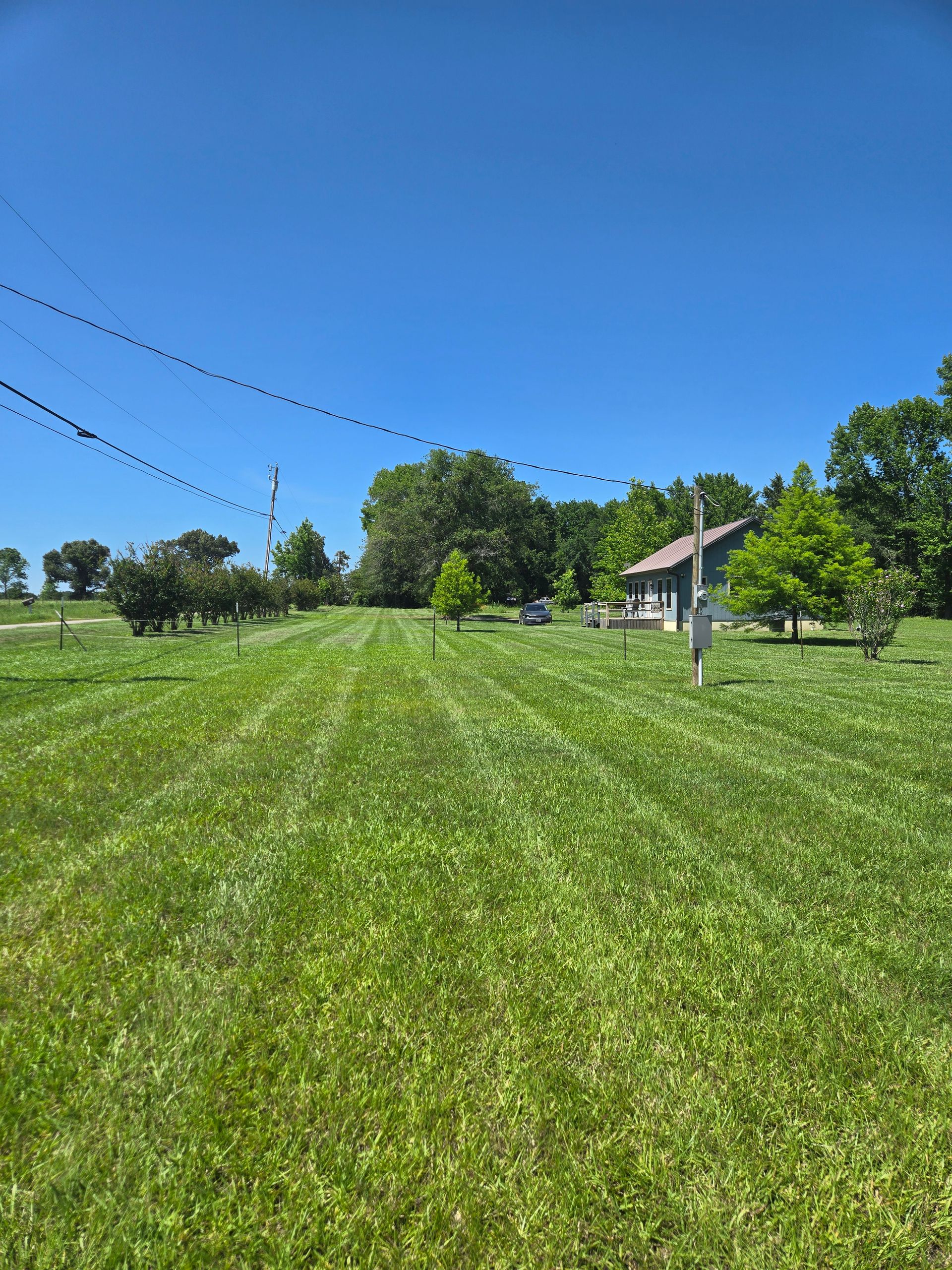 Rambo's Mowing, Ben Wheeler TX, Emory TX, Quitman TX, Mineola TX, Grand Saline TX, Edgewood TX, Terrell TX, Kaufman TX, Canton TX, Trinidad TX, Athens TX, Edom TX, Van TX, Chandler TX, Brownsboro TX, Tyler TX, Whitehouse TX, Lindale TX, Murchison TX, Myrtle Springs TX, Lawn Mowing Service Near Me, Lawn Mowing Company Near Me, Residential Mowing Company, Commercial Mowing Company, Ben Wheeler Mowing Company, Emory Mowing Company, Quitman Mowing Company, Mineola Mowing Company, Grand Saline Mowing Company, Edgewood Mowing Company, Terrell Mowing Company, Kaufman Mowing Company, Canton Mowing Company, Trinidad Mowing Company, Athens Mowing Company, Edom Mowing Company, Van Mowing Company, Chandler Mowing Company, Brownsboro Mowing Company, Tyler Mowing Company, Whitehouse Mowing Company, Lindale Mowing Company, Murchison Mowing Company, Myrtle Springs Mowing Company, Mowing, Mowing Acres, Mowing Land Lots, Weed Eating, Weed Eating Company Near Me, Fall Clean Up, Fall Clean Up Service Near Me, Yard Clean Up, Yard Clean Up Service Near Me, Ben Wheeler Yard Clean Up, Emory Yard Clean Up, Quitman Yard Clean Up, Mineola Yard Clean Up, Grand Saline Yard Clean Up, Edgewood Yard Clean Up, Terrell Yard Clean Up, Kaufman Yard Clean Up, Canton Yard Clean Up, Trinidad Yard Clean Up, Athens Yard Clean Up, Edom Yard Clean Up, Van Yard Clean Up, Chandler Yard Clean Up, Brownsboro Yard Clean Up, Tyler Yard Clean Up, Whitehouse Yard Clean Up, Lindale Yard Clean Up, Murchison Yard Clean Up, Myrtle Springs Yard Clean Up, Wood Cutting, Light Hauling, Haul Wood, Tree Trimming, Residential Tree Trimming, Commercial Tree Trimming, Lawn Care Service Near Me