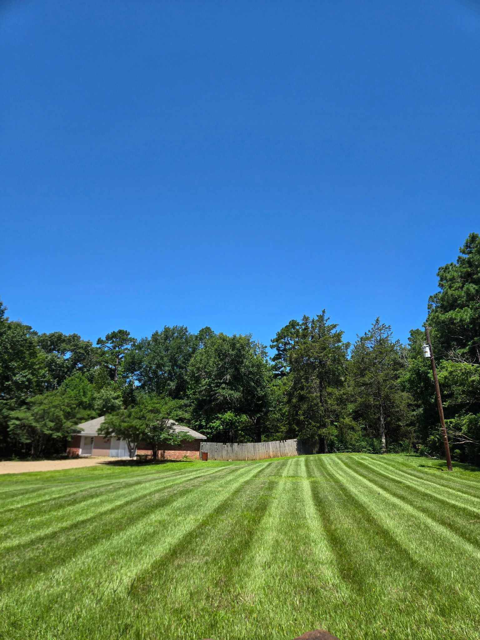 Rambo's Mowing, Ben Wheeler TX, Emory TX, Quitman TX, Mineola TX, Grand Saline TX, Edgewood TX, Terrell TX, Kaufman TX, Canton TX, Trinidad TX, Athens TX, Edom TX, Van TX, Chandler TX, Brownsboro TX, Tyler TX, Whitehouse TX, Lindale TX, Murchison TX, Myrtle Springs TX, Lawn Mowing Service Near Me, Lawn Mowing Company Near Me, Residential Mowing Company, Commercial Mowing Company, Ben Wheeler Mowing Company, Emory Mowing Company, Quitman Mowing Company, Mineola Mowing Company, Grand Saline Mowing Company, Edgewood Mowing Company, Terrell Mowing Company, Kaufman Mowing Company, Canton Mowing Company, Trinidad Mowing Company, Athens Mowing Company, Edom Mowing Company, Van Mowing Company, Chandler Mowing Company, Brownsboro Mowing Company, Tyler Mowing Company, Whitehouse Mowing Company, Lindale Mowing Company, Murchison Mowing Company, Myrtle Springs Mowing Company, Mowing, Mowing Acres, Mowing Land Lots, Weed Eating, Weed Eating Company Near Me, Fall Clean Up, Fall Clean Up Service Near Me, Yard Clean Up, Yard Clean Up Service Near Me, Ben Wheeler Yard Clean Up, Emory Yard Clean Up, Quitman Yard Clean Up, Mineola Yard Clean Up, Grand Saline Yard Clean Up, Edgewood Yard Clean Up, Terrell Yard Clean Up, Kaufman Yard Clean Up, Canton Yard Clean Up, Trinidad Yard Clean Up, Athens Yard Clean Up, Edom Yard Clean Up, Van Yard Clean Up, Chandler Yard Clean Up, Brownsboro Yard Clean Up, Tyler Yard Clean Up, Whitehouse Yard Clean Up, Lindale Yard Clean Up, Murchison Yard Clean Up, Myrtle Springs Yard Clean Up, Wood Cutting, Light Hauling, Haul Wood, Tree Trimming, Residential Tree Trimming, Commercial Tree Trimming, Lawn Care Service Near Me