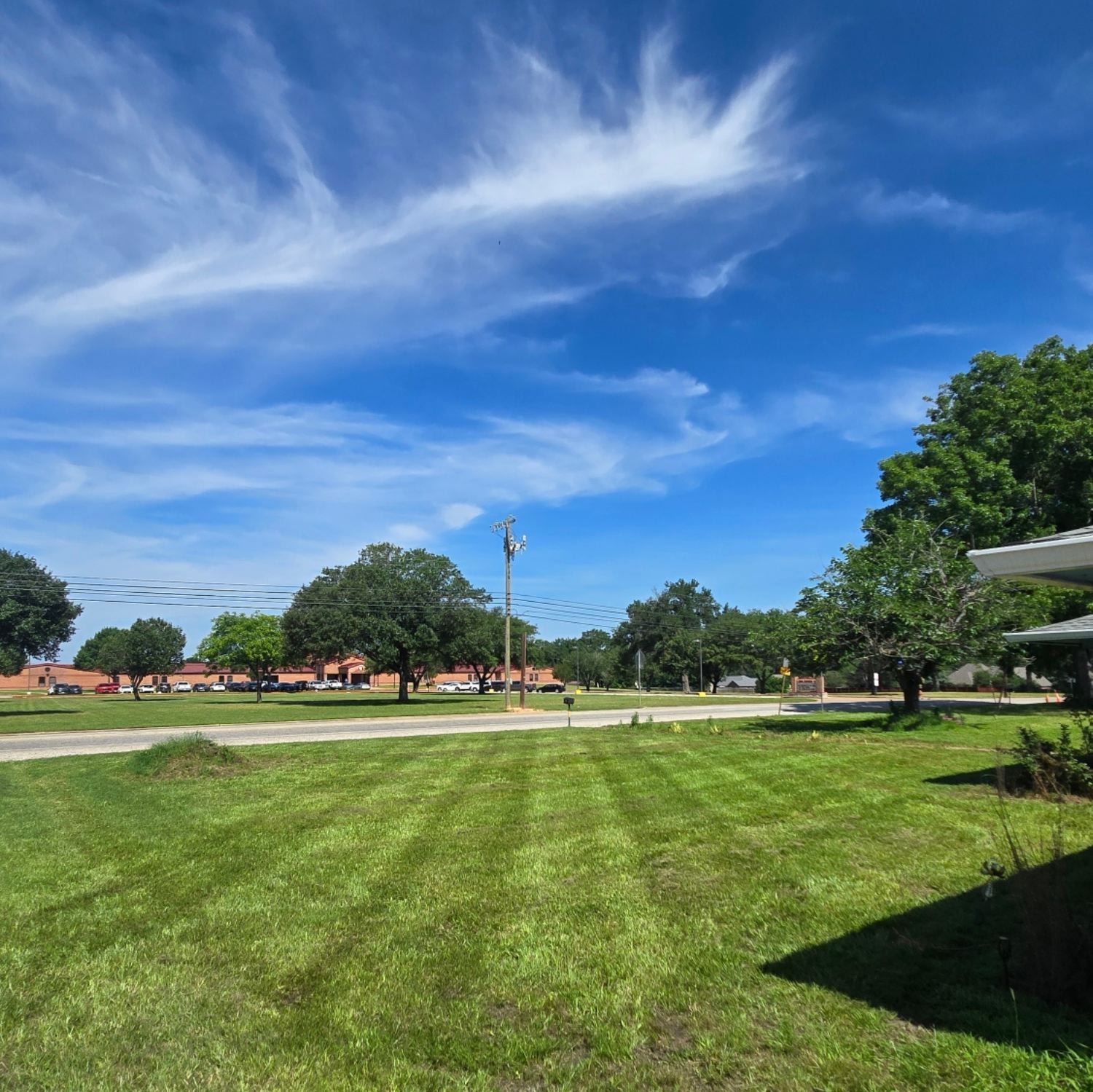 Rambo's Mowing, Ben Wheeler TX, Emory TX, Quitman TX, Mineola TX, Grand Saline TX, Edgewood TX, Terrell TX, Kaufman TX, Canton TX, Trinidad TX, Athens TX, Edom TX, Van TX, Chandler TX, Brownsboro TX, Tyler TX, Whitehouse TX, Lindale TX, Murchison TX, Myrtle Springs TX, Lawn Mowing Service Near Me, Lawn Mowing Company Near Me, Residential Mowing Company, Commercial Mowing Company, Ben Wheeler Mowing Company, Emory Mowing Company, Quitman Mowing Company, Mineola Mowing Company, Grand Saline Mowing Company, Edgewood Mowing Company, Terrell Mowing Company, Kaufman Mowing Company, Canton Mowing Company, Trinidad Mowing Company, Athens Mowing Company, Edom Mowing Company, Van Mowing Company, Chandler Mowing Company, Brownsboro Mowing Company, Tyler Mowing Company, Whitehouse Mowing Company, Lindale Mowing Company, Murchison Mowing Company, Myrtle Springs Mowing Company, Mowing, Mowing Acres, Mowing Land Lots, Weed Eating, Weed Eating Company Near Me, Fall Clean Up, Fall Clean Up Service Near Me, Yard Clean Up, Yard Clean Up Service Near Me, Ben Wheeler Yard Clean Up, Emory Yard Clean Up, Quitman Yard Clean Up, Mineola Yard Clean Up, Grand Saline Yard Clean Up, Edgewood Yard Clean Up, Terrell Yard Clean Up, Kaufman Yard Clean Up, Canton Yard Clean Up, Trinidad Yard Clean Up, Athens Yard Clean Up, Edom Yard Clean Up, Van Yard Clean Up, Chandler Yard Clean Up, Brownsboro Yard Clean Up, Tyler Yard Clean Up, Whitehouse Yard Clean Up, Lindale Yard Clean Up, Murchison Yard Clean Up, Myrtle Springs Yard Clean Up, Wood Cutting, Light Hauling, Haul Wood, Tree Trimming, Residential Tree Trimming, Commercial Tree Trimming, Lawn Care Service Near Me