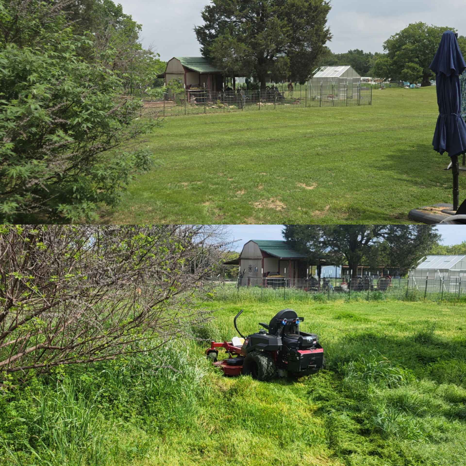 Rambo's Mowing, Ben Wheeler TX, Emory TX, Quitman TX, Mineola TX, Grand Saline TX, Edgewood TX, Terrell TX, Kaufman TX, Canton TX, Trinidad TX, Athens TX, Edom TX, Van TX, Chandler TX, Brownsboro TX, Tyler TX, Whitehouse TX, Lindale TX, Murchison TX, Myrtle Springs TX, Lawn Mowing Service Near Me, Lawn Mowing Company Near Me, Residential Mowing Company, Commercial Mowing Company, Ben Wheeler Mowing Company, Emory Mowing Company, Quitman Mowing Company, Mineola Mowing Company, Grand Saline Mowing Company, Edgewood Mowing Company, Terrell Mowing Company, Kaufman Mowing Company, Canton Mowing Company, Trinidad Mowing Company, Athens Mowing Company, Edom Mowing Company, Van Mowing Company, Chandler Mowing Company, Brownsboro Mowing Company, Tyler Mowing Company, Whitehouse Mowing Company, Lindale Mowing Company, Murchison Mowing Company, Myrtle Springs Mowing Company, Mowing, Mowing Acres, Mowing Land Lots, Weed Eating, Weed Eating Company Near Me, Fall Clean Up, Fall Clean Up Service Near Me, Yard Clean Up, Yard Clean Up Service Near Me, Ben Wheeler Yard Clean Up, Emory Yard Clean Up, Quitman Yard Clean Up, Mineola Yard Clean Up, Grand Saline Yard Clean Up, Edgewood Yard Clean Up, Terrell Yard Clean Up, Kaufman Yard Clean Up, Canton Yard Clean Up, Trinidad Yard Clean Up, Athens Yard Clean Up, Edom Yard Clean Up, Van Yard Clean Up, Chandler Yard Clean Up, Brownsboro Yard Clean Up, Tyler Yard Clean Up, Whitehouse Yard Clean Up, Lindale Yard Clean Up, Murchison Yard Clean Up, Myrtle Springs Yard Clean Up, Wood Cutting, Light Hauling, Haul Wood, Tree Trimming, Residential Tree Trimming, Commercial Tree Trimming, Lawn Care Service Near Me