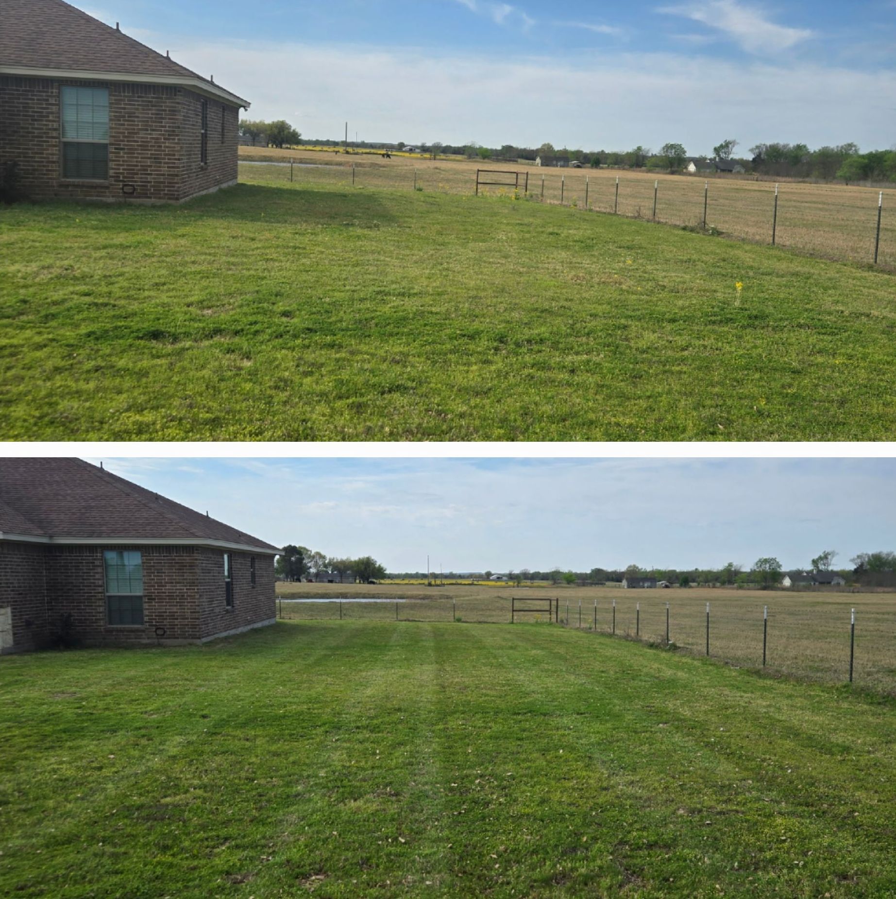 Rambo's Mowing, Ben Wheeler TX, Emory TX, Quitman TX, Mineola TX, Grand Saline TX, Edgewood TX, Terrell TX, Kaufman TX, Canton TX, Trinidad TX, Athens TX, Edom TX, Van TX, Chandler TX, Brownsboro TX, Tyler TX, Whitehouse TX, Lindale TX, Murchison TX, Myrtle Springs TX, Lawn Mowing Service Near Me, Lawn Mowing Company Near Me, Residential Mowing Company, Commercial Mowing Company, Ben Wheeler Mowing Company, Emory Mowing Company, Quitman Mowing Company, Mineola Mowing Company, Grand Saline Mowing Company, Edgewood Mowing Company, Terrell Mowing Company, Kaufman Mowing Company, Canton Mowing Company, Trinidad Mowing Company, Athens Mowing Company, Edom Mowing Company, Van Mowing Company, Chandler Mowing Company, Brownsboro Mowing Company, Tyler Mowing Company, Whitehouse Mowing Company, Lindale Mowing Company, Murchison Mowing Company, Myrtle Springs Mowing Company, Mowing, Mowing Acres, Mowing Land Lots, Weed Eating, Weed Eating Company Near Me, Fall Clean Up, Fall Clean Up Service Near Me, Yard Clean Up, Yard Clean Up Service Near Me, Ben Wheeler Yard Clean Up, Emory Yard Clean Up, Quitman Yard Clean Up, Mineola Yard Clean Up, Grand Saline Yard Clean Up, Edgewood Yard Clean Up, Terrell Yard Clean Up, Kaufman Yard Clean Up, Canton Yard Clean Up, Trinidad Yard Clean Up, Athens Yard Clean Up, Edom Yard Clean Up, Van Yard Clean Up, Chandler Yard Clean Up, Brownsboro Yard Clean Up, Tyler Yard Clean Up, Whitehouse Yard Clean Up, Lindale Yard Clean Up, Murchison Yard Clean Up, Myrtle Springs Yard Clean Up, Wood Cutting, Light Hauling, Haul Wood, Tree Trimming, Residential Tree Trimming, Commercial Tree Trimming, Lawn Care Service Near Me