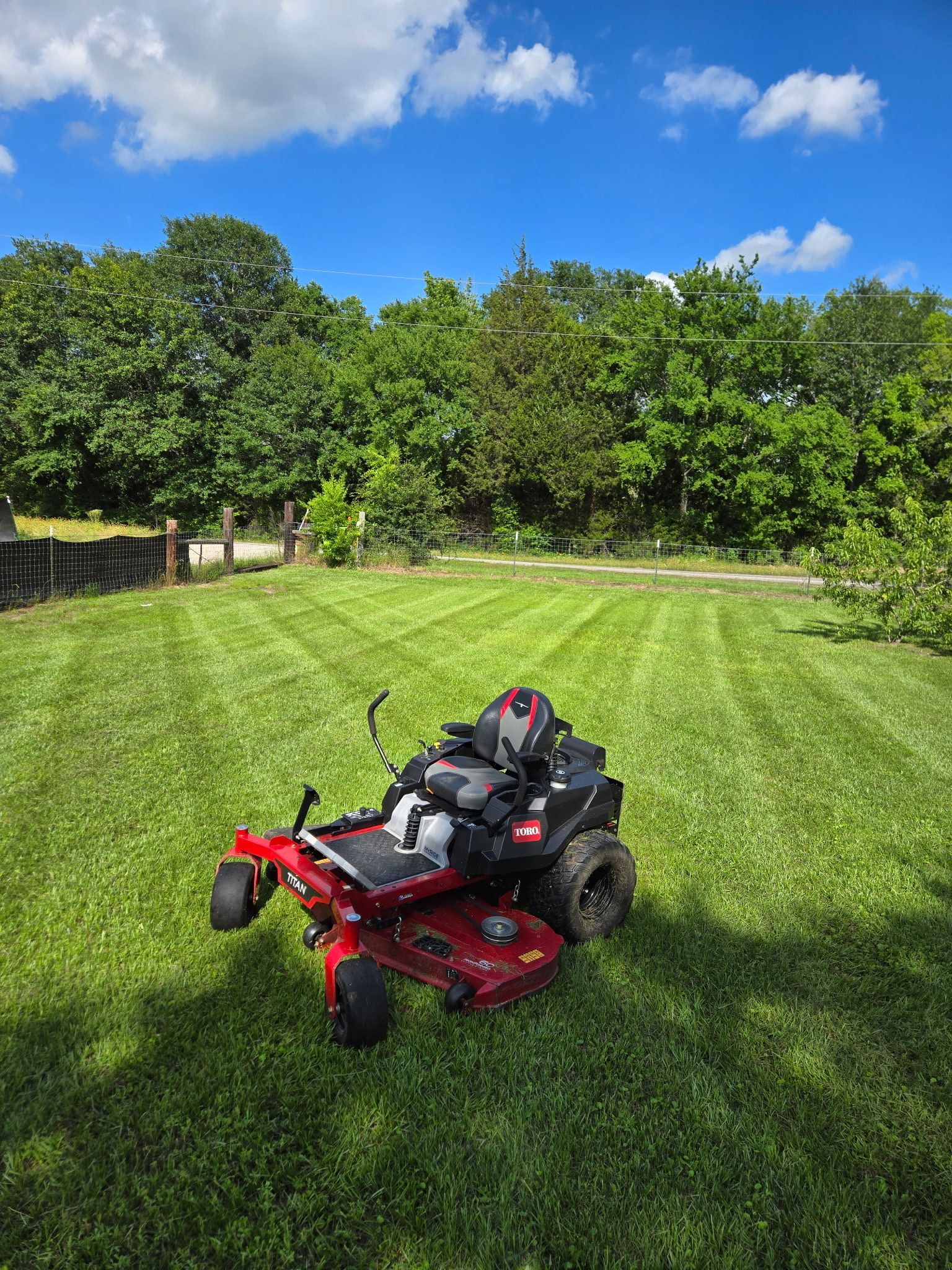 Rambo's Mowing, Ben Wheeler TX, Emory TX, Quitman TX, Mineola TX, Grand Saline TX, Edgewood TX, Terrell TX, Kaufman TX, Canton TX, Trinidad TX, Athens TX, Edom TX, Van TX, Chandler TX, Brownsboro TX, Tyler TX, Whitehouse TX, Lindale TX, Murchison TX, Myrtle Springs TX, Lawn Mowing Service Near Me, Lawn Mowing Company Near Me, Residential Mowing Company, Commercial Mowing Company, Ben Wheeler Mowing Company, Emory Mowing Company, Quitman Mowing Company, Mineola Mowing Company, Grand Saline Mowing Company, Edgewood Mowing Company, Terrell Mowing Company, Kaufman Mowing Company, Canton Mowing Company, Trinidad Mowing Company, Athens Mowing Company, Edom Mowing Company, Van Mowing Company, Chandler Mowing Company, Brownsboro Mowing Company, Tyler Mowing Company, Whitehouse Mowing Company, Lindale Mowing Company, Murchison Mowing Company, Myrtle Springs Mowing Company, Mowing, Mowing Acres, Mowing Land Lots, Weed Eating, Weed Eating Company Near Me, Fall Clean Up, Fall Clean Up Service Near Me, Yard Clean Up, Yard Clean Up Service Near Me, Ben Wheeler Yard Clean Up, Emory Yard Clean Up, Quitman Yard Clean Up, Mineola Yard Clean Up, Grand Saline Yard Clean Up, Edgewood Yard Clean Up, Terrell Yard Clean Up, Kaufman Yard Clean Up, Canton Yard Clean Up, Trinidad Yard Clean Up, Athens Yard Clean Up, Edom Yard Clean Up, Van Yard Clean Up, Chandler Yard Clean Up, Brownsboro Yard Clean Up, Tyler Yard Clean Up, Whitehouse Yard Clean Up, Lindale Yard Clean Up, Murchison Yard Clean Up, Myrtle Springs Yard Clean Up, Wood Cutting, Light Hauling, Haul Wood, Tree Trimming, Residential Tree Trimming, Commercial Tree Trimming, Lawn Care Service Near Me