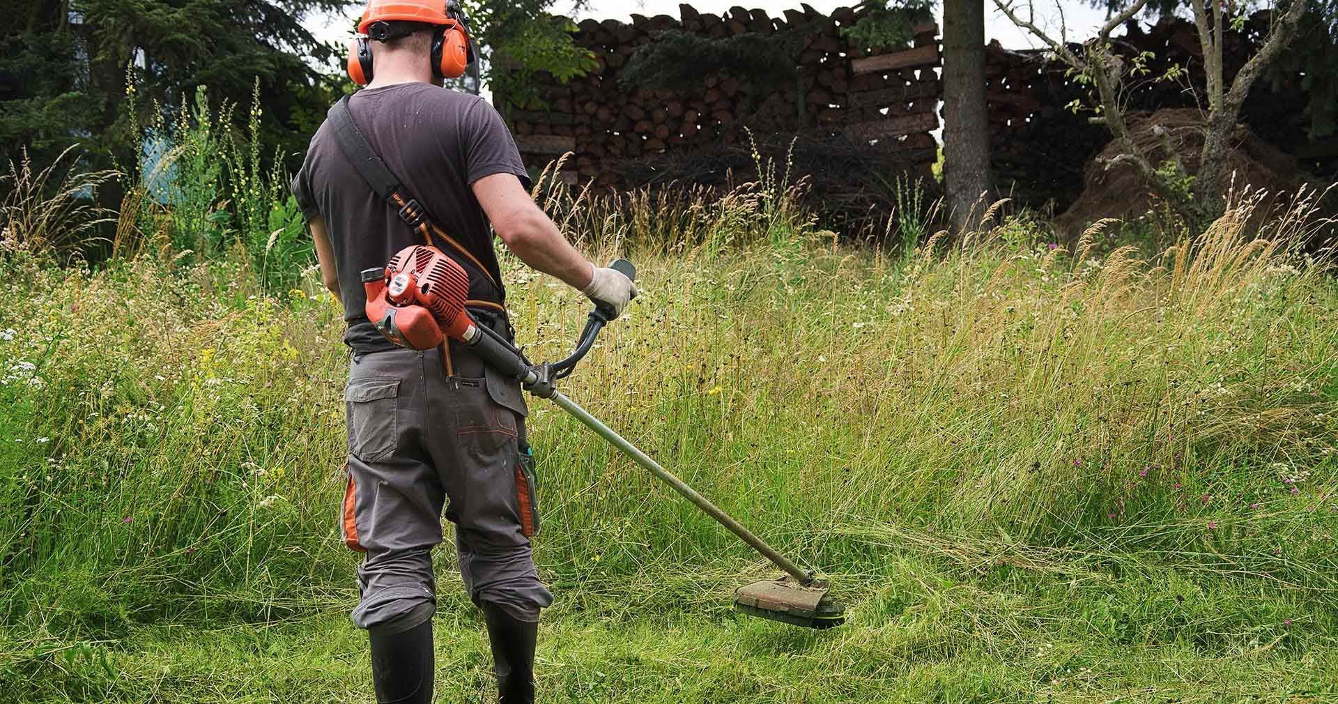 Rambo's Mowing, Ben Wheeler TX, Emory TX, Quitman TX, Mineola TX, Grand Saline TX, Edgewood TX, Terrell TX, Kaufman TX, Canton TX, Trinidad TX, Athens TX, Edom TX, Van TX, Chandler TX, Brownsboro TX, Tyler TX, Whitehouse TX, Lindale TX, Murchison TX, Myrtle Springs TX, Lawn Mowing Service Near Me, Lawn Mowing Company Near Me, Residential Mowing Company, Commercial Mowing Company, Ben Wheeler Mowing Company, Emory Mowing Company, Quitman Mowing Company, Mineola Mowing Company, Grand Saline Mowing Company, Edgewood Mowing Company, Terrell Mowing Company, Kaufman Mowing Company, Canton Mowing Company, Trinidad Mowing Company, Athens Mowing Company, Edom Mowing Company, Van Mowing Company, Chandler Mowing Company, Brownsboro Mowing Company, Tyler Mowing Company, Whitehouse Mowing Company, Lindale Mowing Company, Murchison Mowing Company, Myrtle Springs Mowing Company, Mowing, Mowing Acres, Mowing Land Lots, Weed Eating, Weed Eating Company Near Me, Fall Clean Up, Fall Clean Up Service Near Me, Yard Clean Up, Yard Clean Up Service Near Me, Ben Wheeler Yard Clean Up, Emory Yard Clean Up, Quitman Yard Clean Up, Mineola Yard Clean Up, Grand Saline Yard Clean Up, Edgewood Yard Clean Up, Terrell Yard Clean Up, Kaufman Yard Clean Up, Canton Yard Clean Up, Trinidad Yard Clean Up, Athens Yard Clean Up, Edom Yard Clean Up, Van Yard Clean Up, Chandler Yard Clean Up, Brownsboro Yard Clean Up, Tyler Yard Clean Up, Whitehouse Yard Clean Up, Lindale Yard Clean Up, Murchison Yard Clean Up, Myrtle Springs Yard Clean Up, Wood Cutting, Light Hauling, Haul Wood, Tree Trimming, Residential Tree Trimming, Commercial Tree Trimming, Lawn Care Service Near Me
