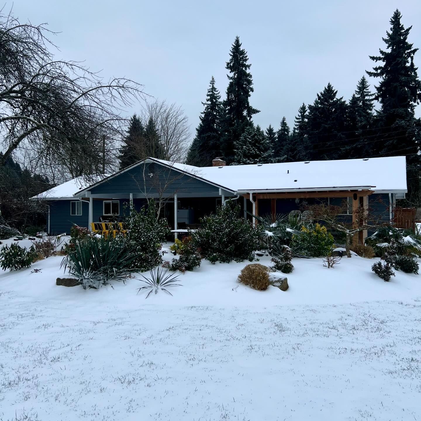 House in the Snow with Trees — Vancouver, WA — MR “G” Landscaping LLC