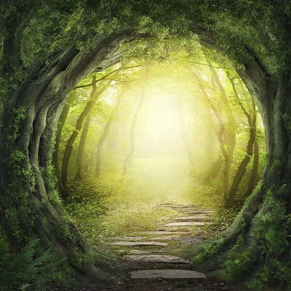 Recorded Courses Tree Path