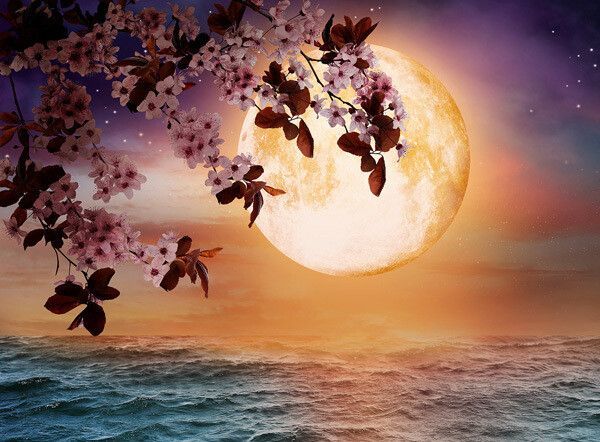 Healing Layers of Emotional Self