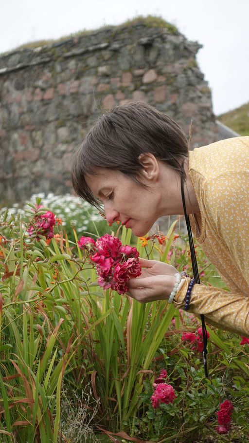 Alphedia with flowers Alphedia with flowers