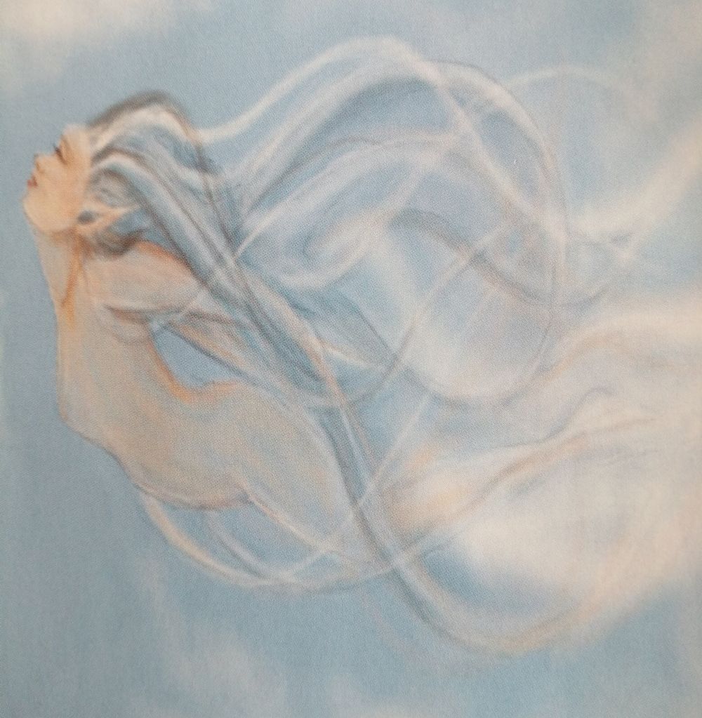 Air Spirits Chapter 6  (image by Hayley Rust)