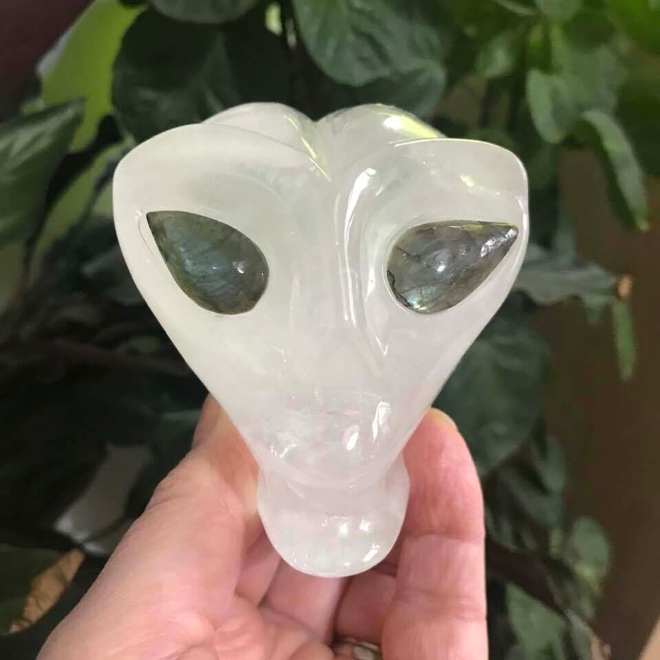 Star Being Skulls