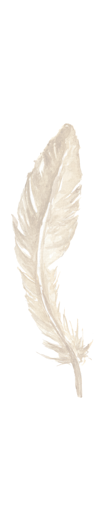 Angel Feather Vertical Angel Feather Vertical