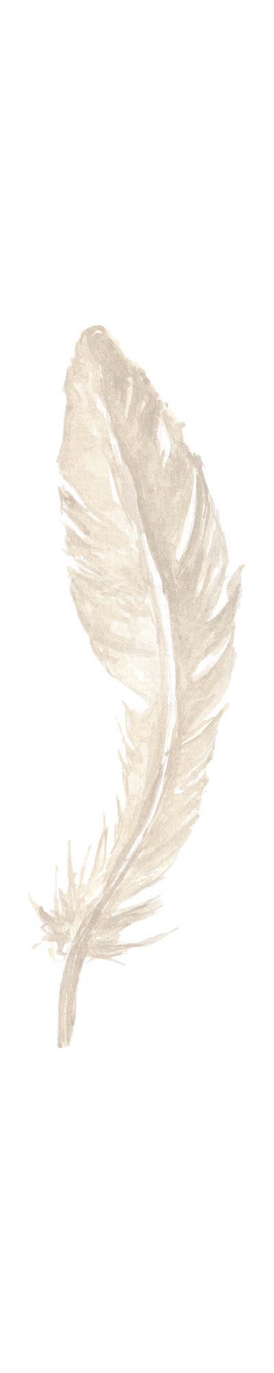 Angel Feather Vertical Angel Feather Vertical