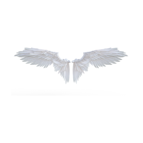 Angel Wings