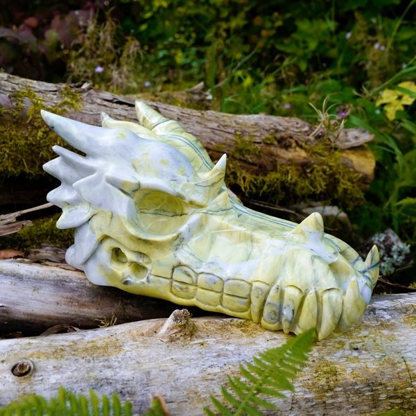 Dragon skull healings
