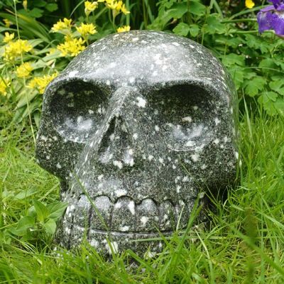 Ardmano Crystal Skull Auric Cleansing Remote Healing