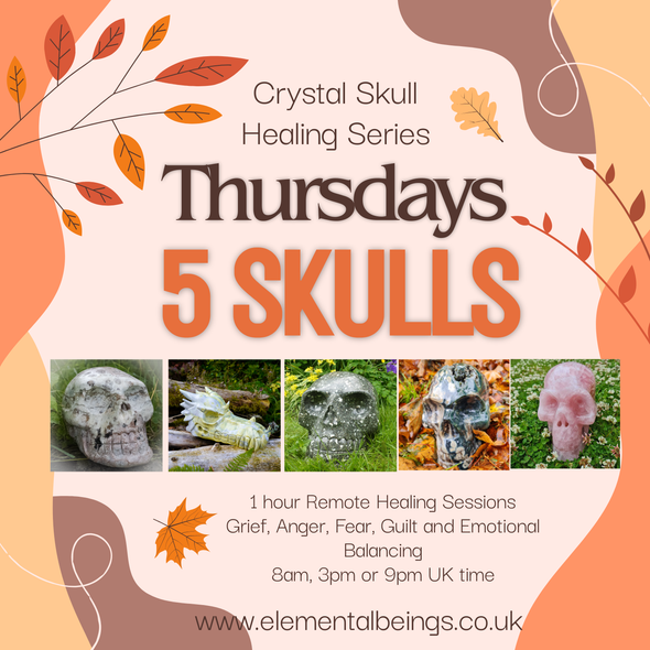Crystal Skull Healing series
