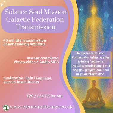 Solstice Soul Mission