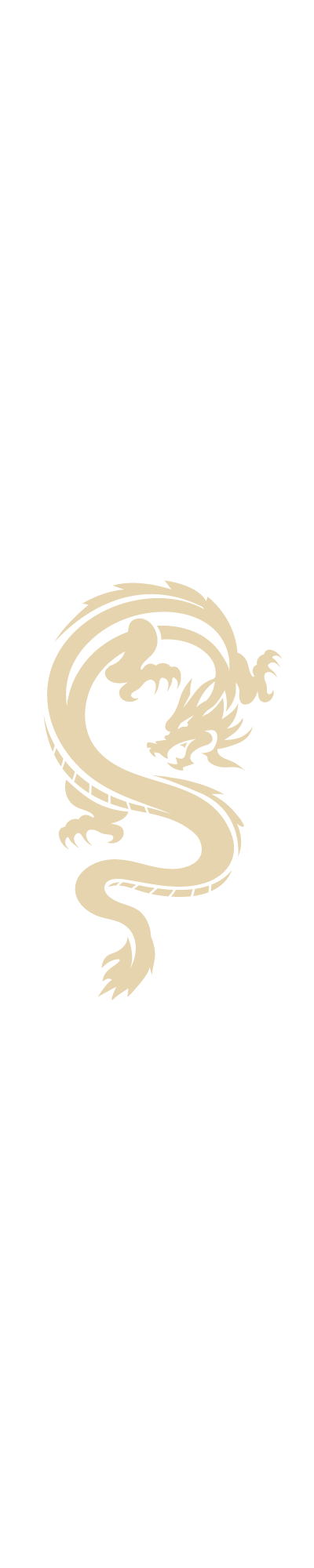 Dragon Left Dragon Left