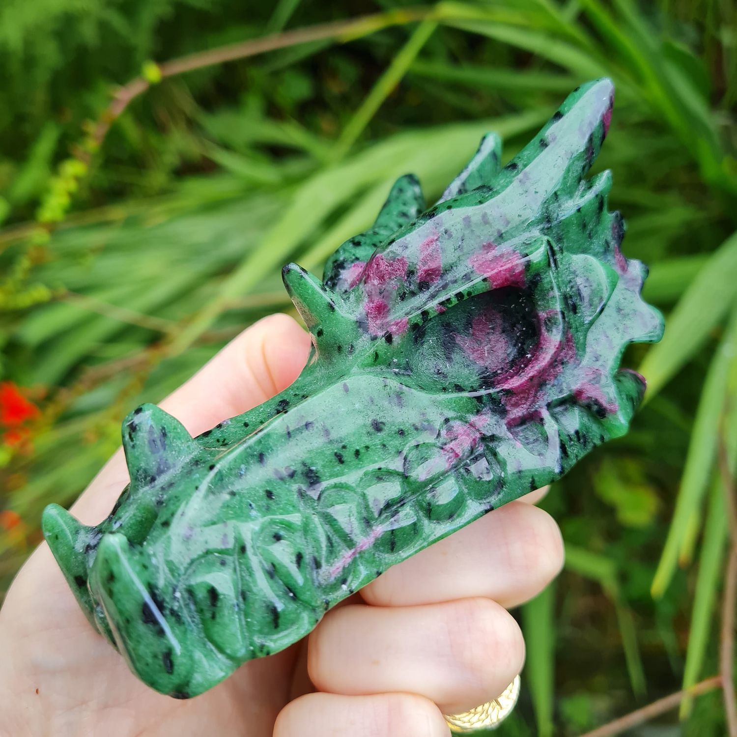 Dragon Skulls