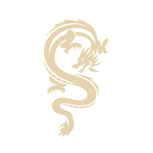 Dragon Soul Channelling Dragon Dragon Soul Channelling Dragon