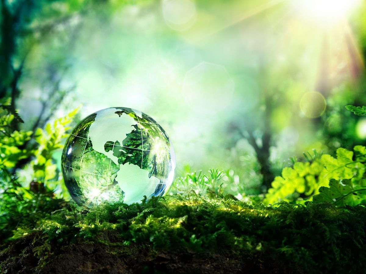 Crystalline Awakening Earth Retreat Crystalline Awakening Earth Retreat