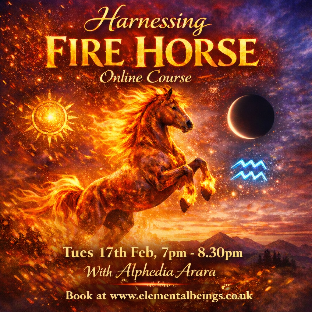 Fire Horse course Fire horse course