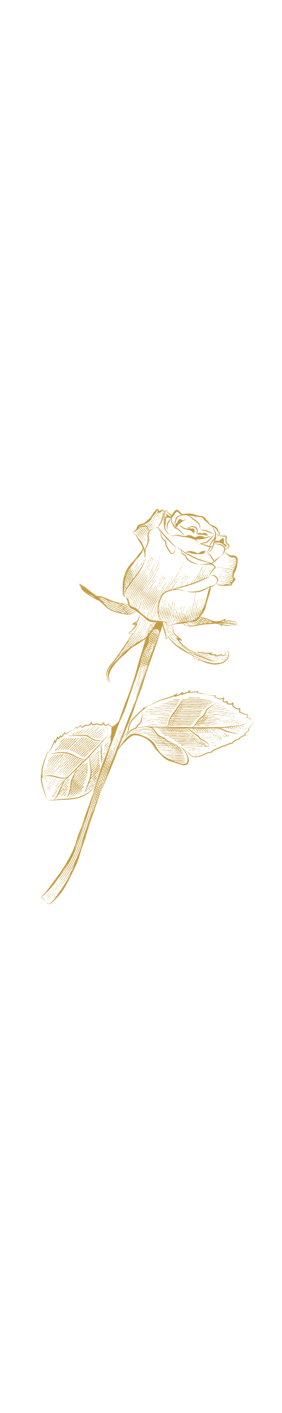 Gold Rose Gold Rose