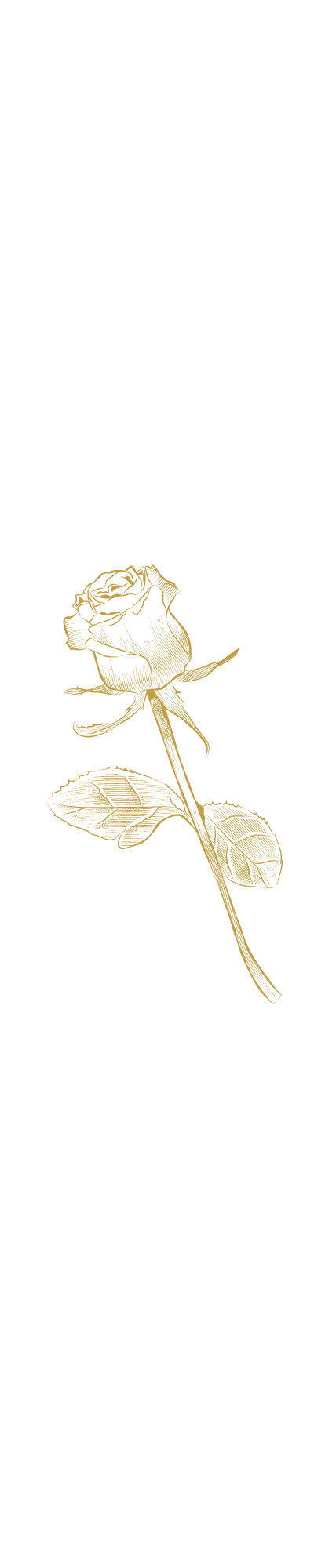 Gold Rose Gold Rose