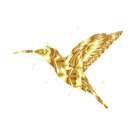 Gold Humming Bird