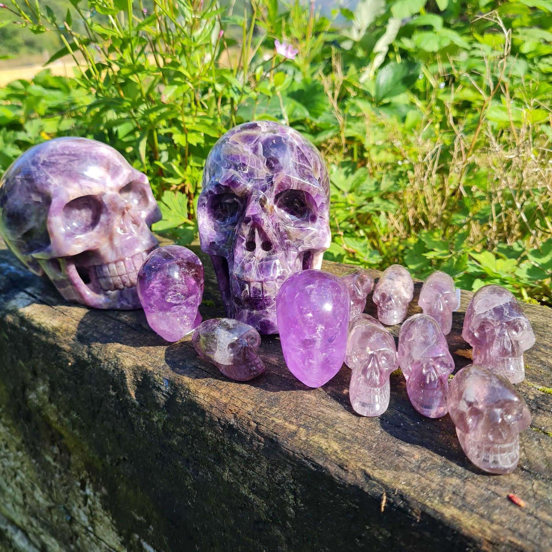Crystal Skulls Crystal Skulls