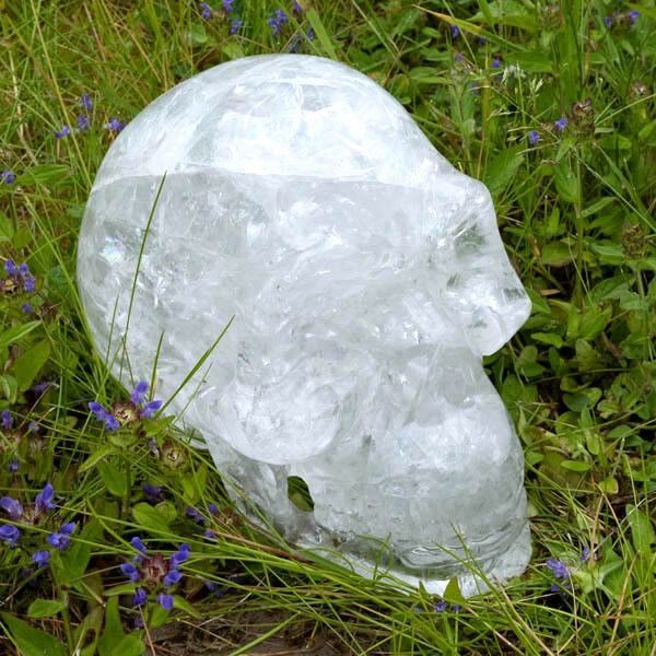 Healing Skulls