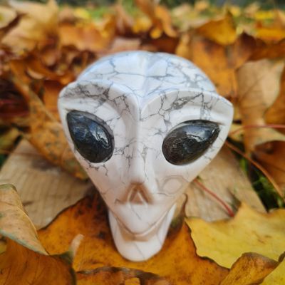 Online Crystal Skull Shop, Lyran Star Being Howlite crystal skull Online Crystal Skull Shop