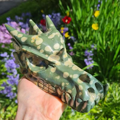Multanta Dragon Skull