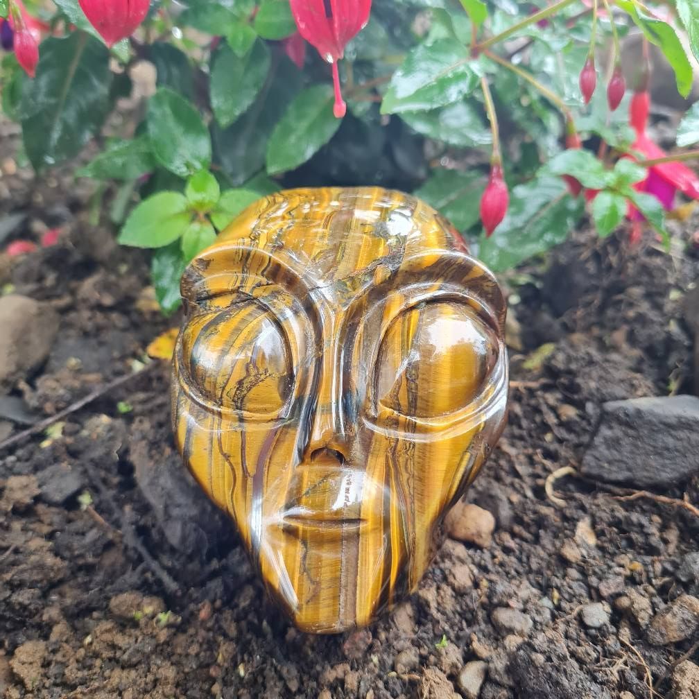Sirian Crystal Skull