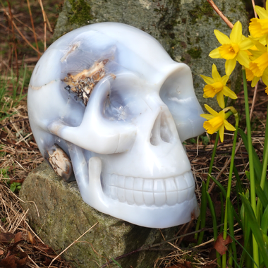 Pulanta Crystal Skull
