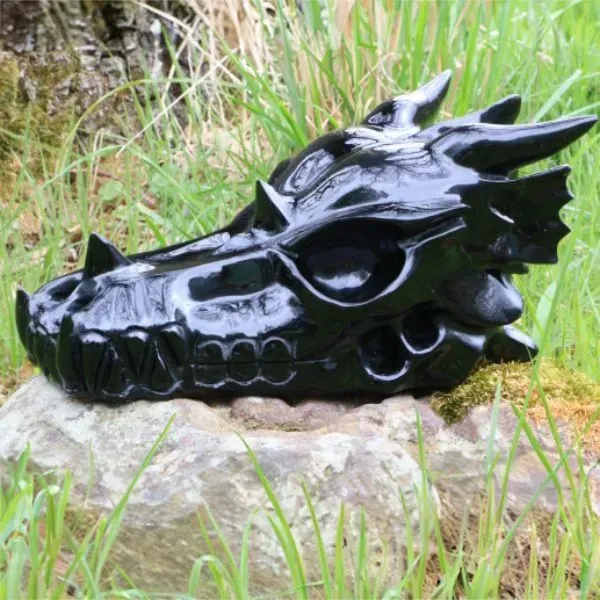 Black Dragon Skull
