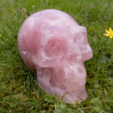Rosana Crystal Skull Healing Personal Healing
