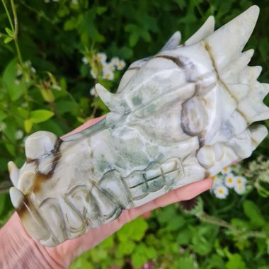 Nasara Serpentine Dragon Skull