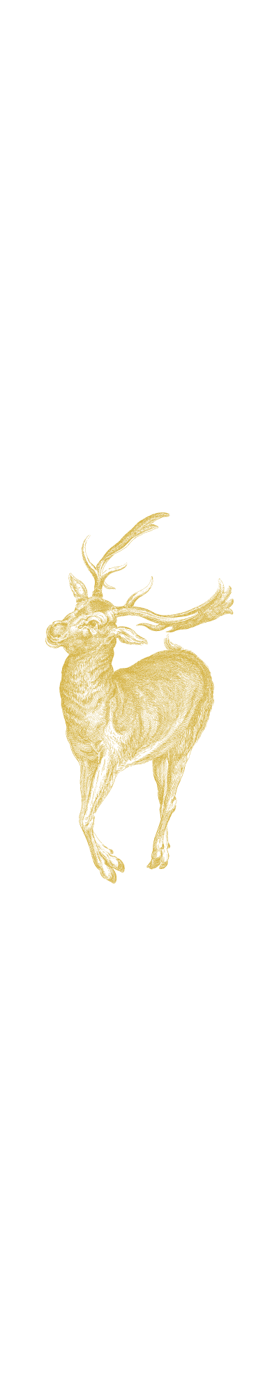 Stag Vertical Right Stag Vertical Right