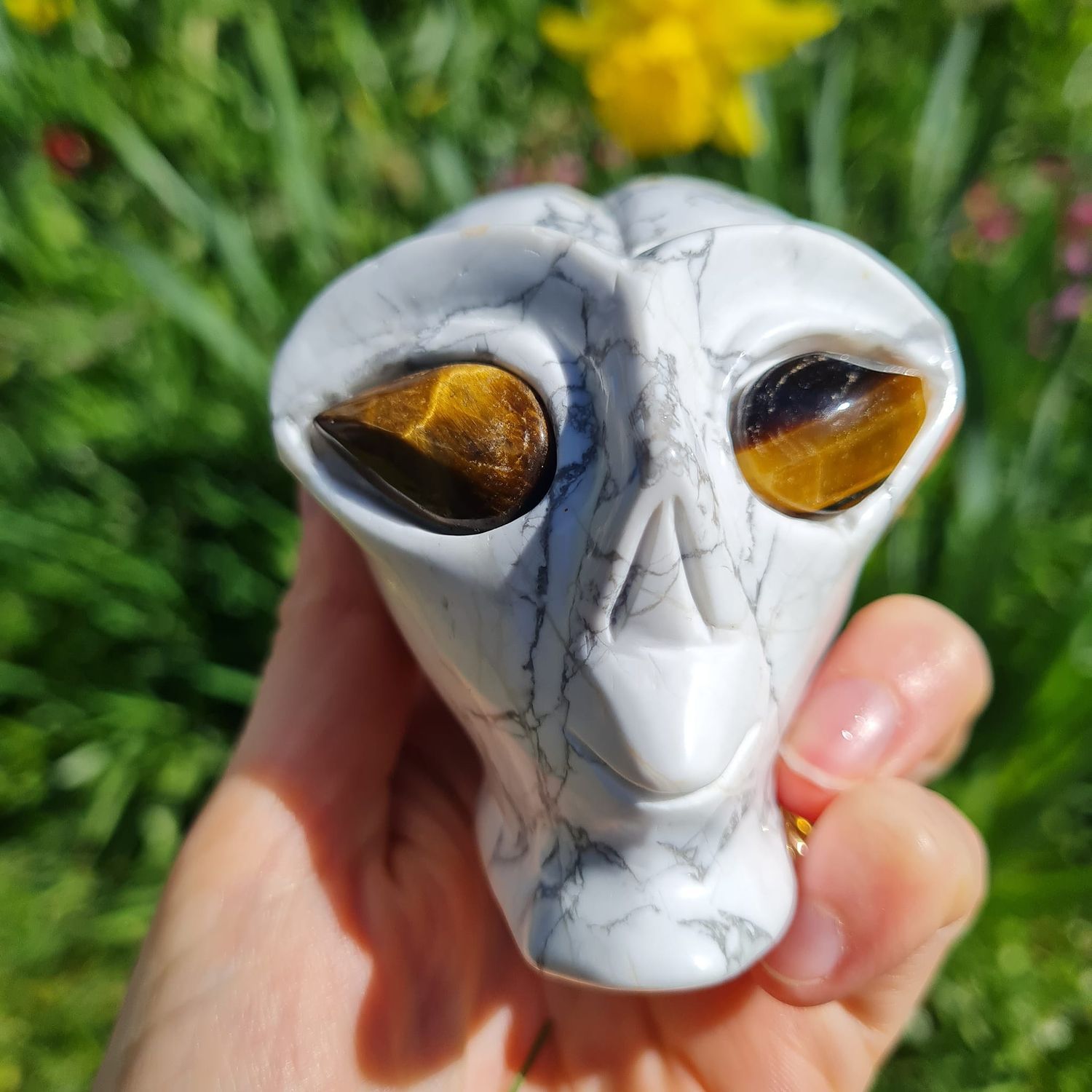 Star Being Skulls