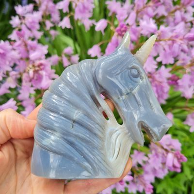 Unicorn Skulls