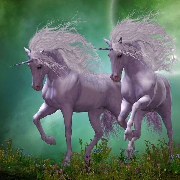 Unicorn Courses