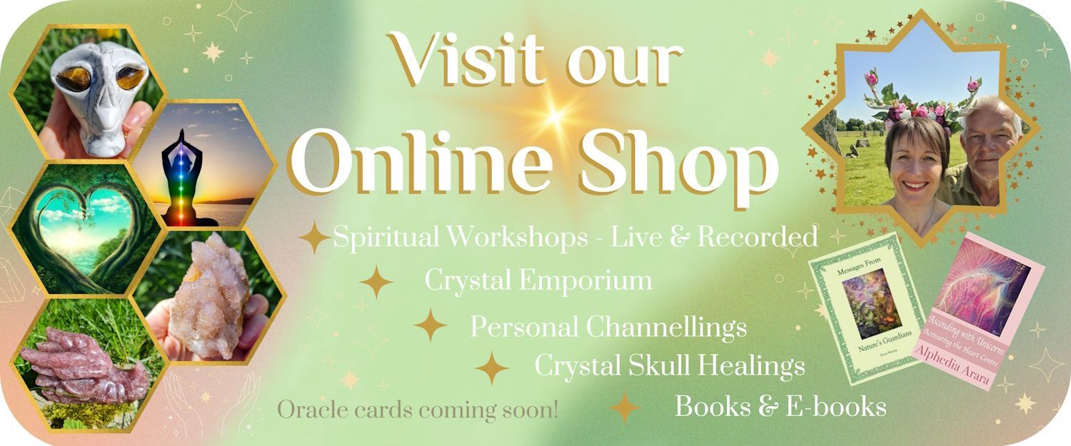 Online Shop