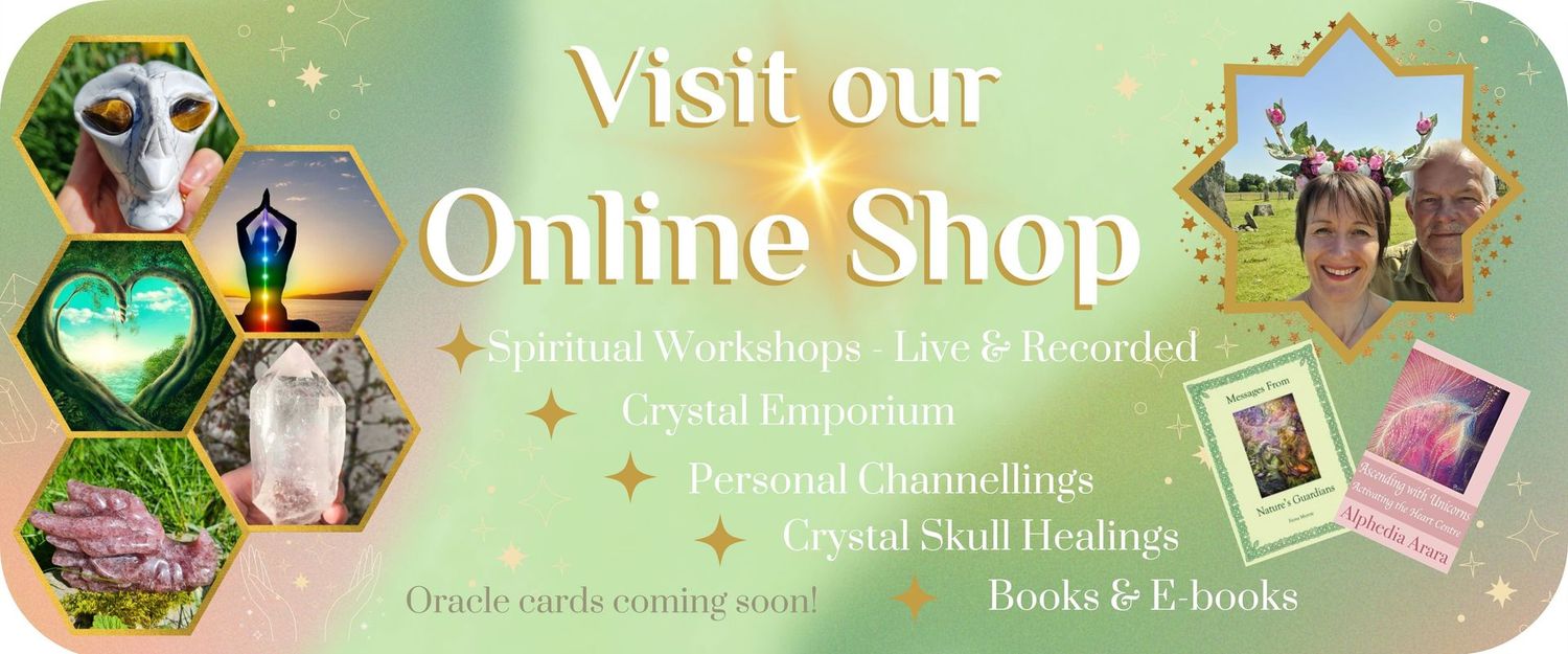 Online Shop