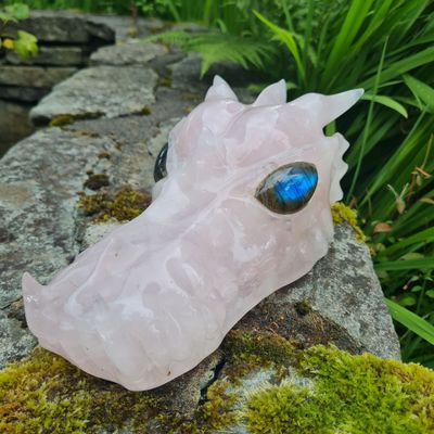 Healing Body Consciousness Venus Dragon Skull Remote Healing