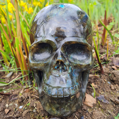 Crystal Skull Healing Series