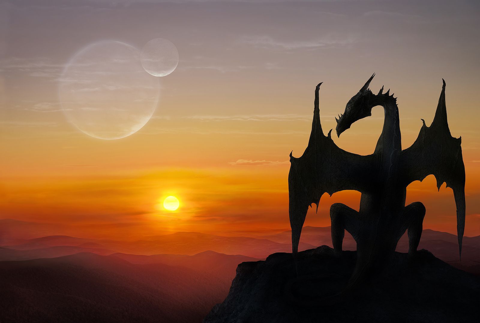 Dragon Wisdom School