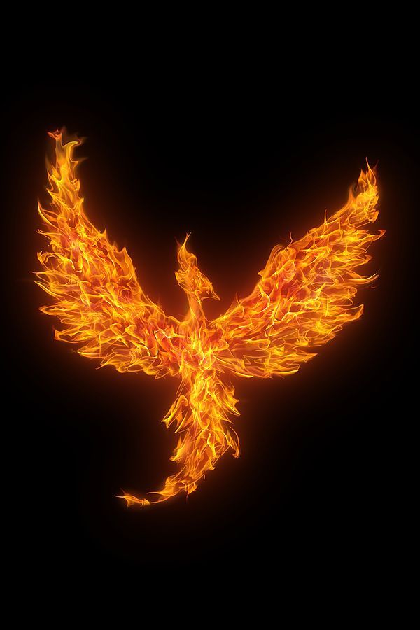 Phoenix Consciousness Meditation