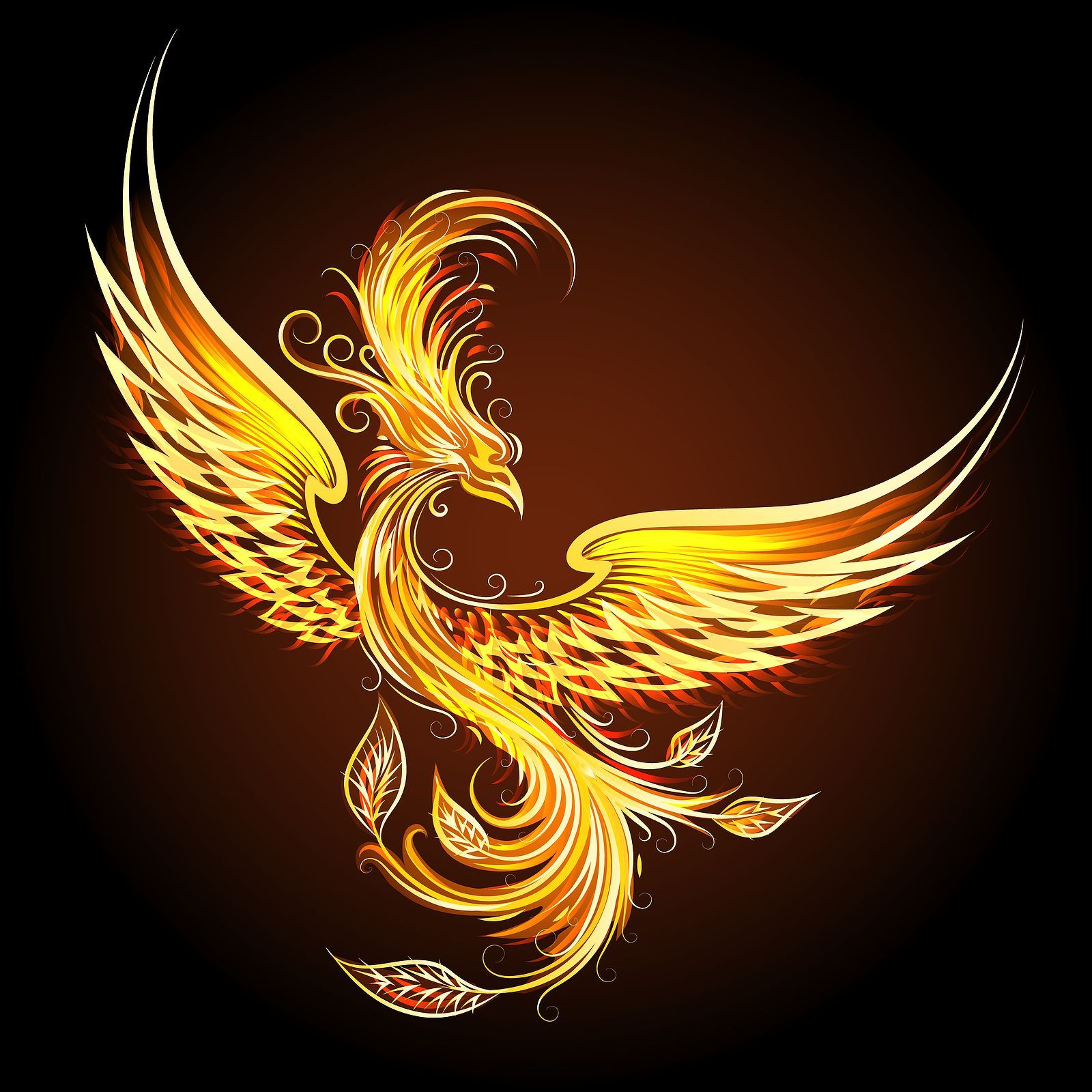 Recorded Phoenix Courses