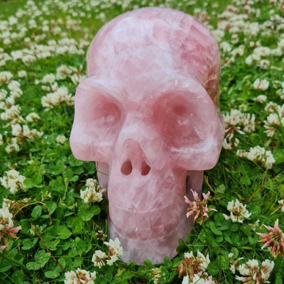 Magdalena Crystal Skull Healing